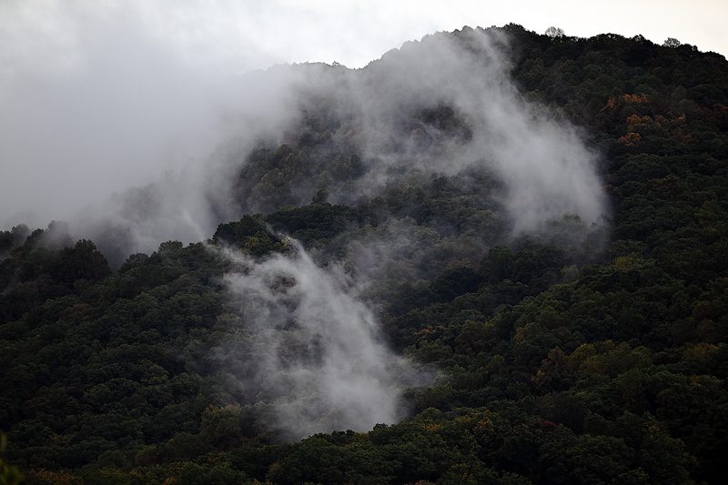 Fall Rain.JPG